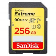 Sandisk Exrteme SDXC 256GB Class 10 U3 V30 UHS-I (SDSDXWV-256G-GNCIN) (SANSDSDXWV-256G-GNCIN) | Κάρτες μνήμης MicroSD στο smart-tech.gr