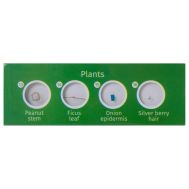 Levenhuk Παρασκευασματα P12 Σετ 12Τμχ Φυτα | Αξεσουάρ για Μικροσκόπια στο smart-tech.gr