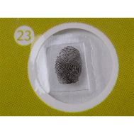 Levenhuk Παρασκευασματα P12 Σετ 12Τμχ Φυτα | Αξεσουάρ για Μικροσκόπια στο smart-tech.gr