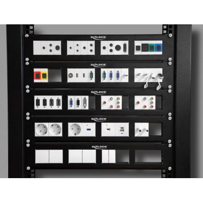 DELOCK module διακόπτης Easy 45 81360, μονός, 2-pole, 1-way, λευκός | ΗΛΕΚΤΡΟΛΟΓΙΚΟΣ ΕΞΟΠΛΙΣΜΟΣ στο smart-tech.gr