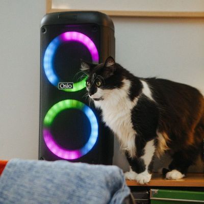 Osio OBT-8030 Φορητό ηχείο Bluetooth με USB, LED, AUX, TF, RC, FM,TWS, ενσ. μικρόφωνο και τηλεχειριστήριο – 80 W | Φορητά ασύρματα ηχεία Bluetooth στο smart-tech.gr