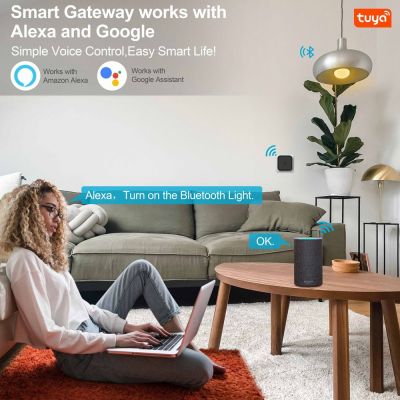 INHOCON smart hub WG02, Wi-Fi & Bluetooth, μαύρο | SMART HOME / OFFICE στο smart-tech.gr