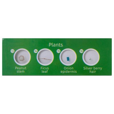 LEVENHUK  ΠΑΡΑΣΚΕΥΑΣΜΑΤΑ P12 ΣΕΤ 12τμχ ΦΥΤΑ | Αξεσουάρ για Μικροσκόπια στο smart-tech.gr