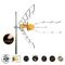 148920 ELLIPSE T-FORCE 5G LTE HD BOSS (21-48) | UHF - LTE στο smart-tech.gr